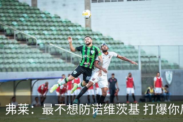 弗莱：最不想防诺维茨基 打爆你后他会向你展现友好一面&这很烦